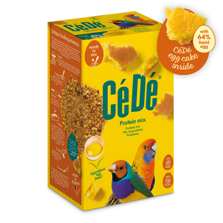 Ornibird SRL - Cédé