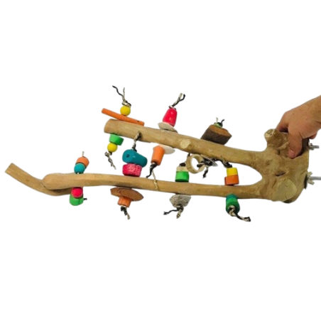 Ornibird SRL - Accessoires