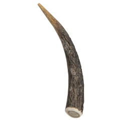 All Nature Bois de Cerf XS/28-50gr - Jack and Vanilla à 8,05 € - Jack and Vanilla - 50/0001 - Os à mâcher