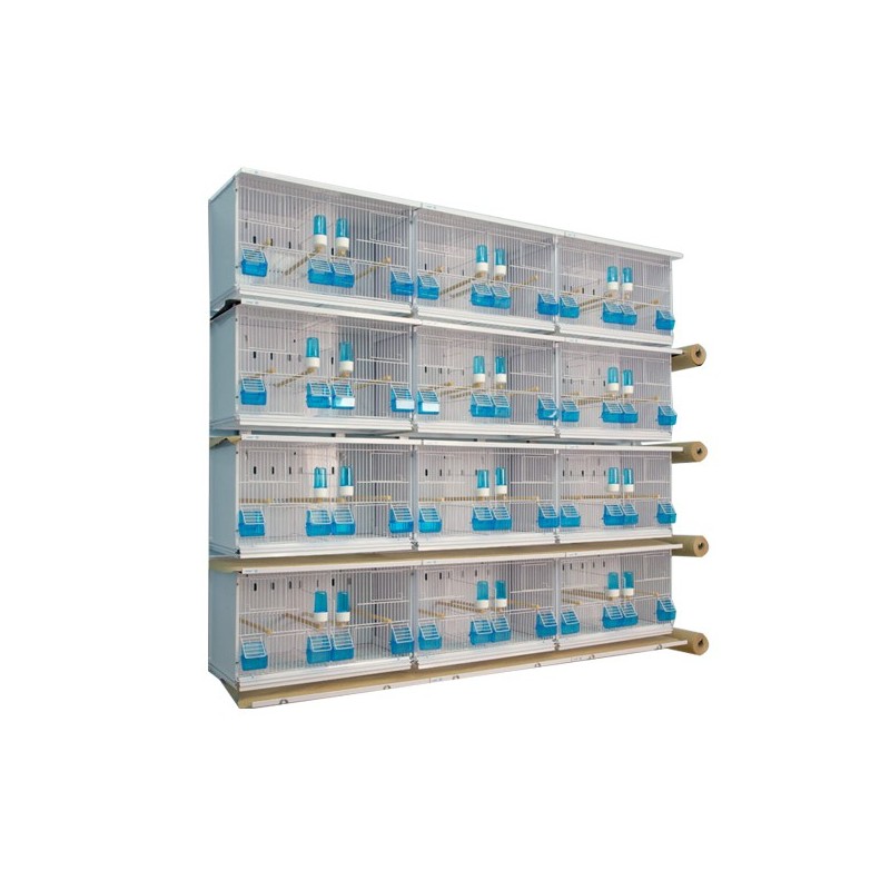 Batteries de 12 cages 63x30x36 - New Canariz