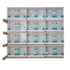 Batteries of 12 cages 63x40x40 - New Canariz 3100 New Canariz 1,220.00 Ornibird
