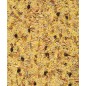 Gold Crumble Pâtée Sèche Grandes Perruches et Perroquets - 4kg - NutriBird