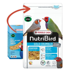 Gold Crumble Pâtée Sèche Oiseaux Exotiques - 4kg - NutriBird - 23,40 € - Versele-Laga - 5410340223765 - Ornibird SRL