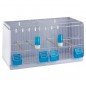 Batterie de 12 cages 64x30x34 Modèle Champion- New Canariz