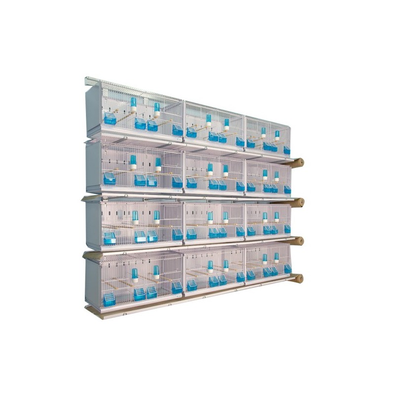 Batterie de 12 cages 64x30x34 Modèle Champion- New Canariz