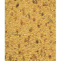 Gold Pâtée Humide Grandes Perruches et Perroquets - 1kg - NutriBird à 6,95 € - Versele-Laga - 422239 - Nutribird