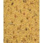 Gold Pâtée Humide Grandes Perruches et Perroquets - 10kg - NutriBird Gold Pâtée Humide Grandes Perruches et Perroquets - 10kg - NutriBird