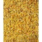 Gold Pâtée Humide Oiseaux Exotiques - 5kg - NutriBird Gold Pâtée Humide Oiseaux Exotiques - 5kg - NutriBird