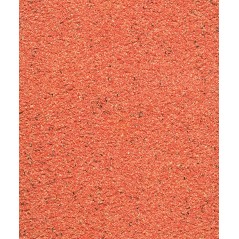 Gold Pâtée Humide Oiseaux Facteur Rouge - 10kg - NutriBird - 41,95 € - Versele-Laga - 5410340222546 - Ornibird SRL