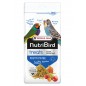 Frutti Pâtée Fortifiante Complément Nutritif - 250gr - NutriBird Frutti Pâtée Fortifiante Complément Nutritif - 250gr - NutriBird