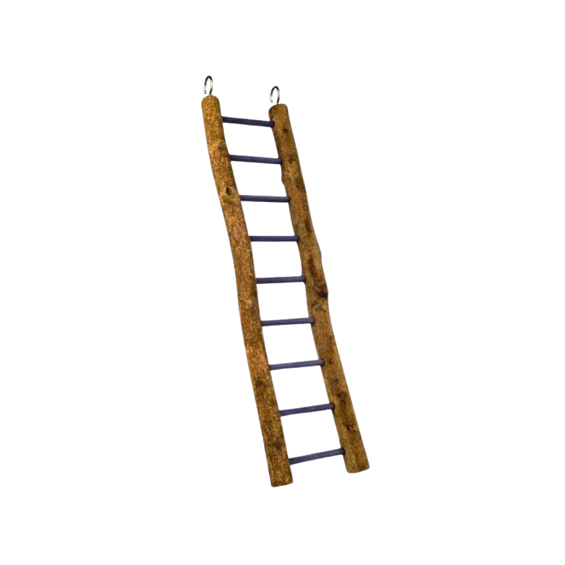 Échelle en Bois 9 Echelons 38 cm - Back Zoo Nature