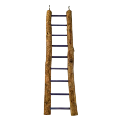 Échelle en Bois 9 Echelons 38 cm - Back Zoo Nature - 4,75 € - Back Zoo Nature - 8714835125273 - Ornibird SRL
