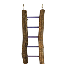 Échelle en Bois 5 Échelons 22 cm - Back Zoo Nature - 3,35 € - Back Zoo Nature - 8784251817953 - Ornibird SRL