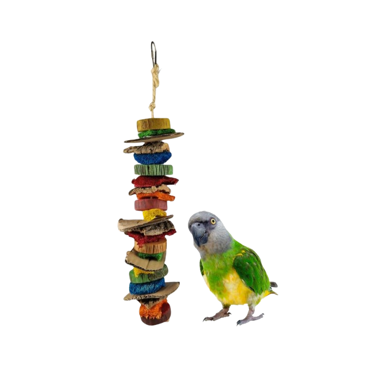 Jouet Mixed Slices 36cm - Back Zoo Nature Jouet Mixed Slices 36cm - Back Zoo Nature