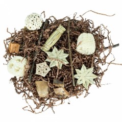 Jouet Pentagone de Recherche & Boite de Jeu - Back Zoo Nature - 6,50 € -  - 8784251817571 - Ornibird SRL