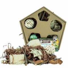 Jouet Pentagone de Recherche & Boite de Jeu - Back Zoo Nature - 6,50 € -  - 8784251817571 - Ornibird SRL