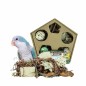 Jouet Pentagone de Recherche & Boite de Jeu - Back Zoo Nature Jouet Pentagone de Recherche & Boite de Jeu - Back Zoo Nature