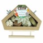 Jouet Triangle de Recherche & Boite de Jeu - Back Zoo Nature Jouet Triangle de Recherche & Boite de Jeu - Back Zoo Nature