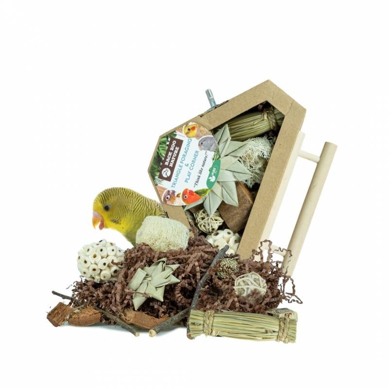 Jouet Triangle de Recherche & Boite de Jeu - Back Zoo Nature Jouet Triangle de Recherche & Boite de Jeu - Back Zoo Nature