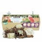 Tunnel Hexagone de Recherche & Boite de Jeu - Back Zoo Nature Tunnel Hexagone de Recherche & Boite de Jeu - Back Zoo Nature