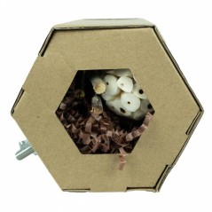Tunnel Hexagone de Recherche & Boite de Jeu - Back Zoo Nature - 6,50 € -  - 8784251817588 - Ornibird SRL