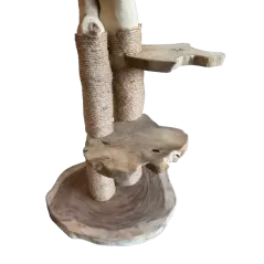 Arbre à Chat En Bois Naturel de Java - Vogelhof - 599,00 € -  - 6097205522523 - Ornibird SRL