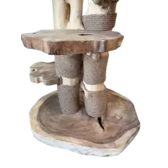 Arbre à Chat En Bois Naturel de Java - Vogelhof - 599,00 € -  - 6097205522523 - Ornibird SRL