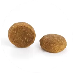 Adult PRESTIGE Salmon - Nourriture Complète Pour Chats Adultes 400gr - C PRO FOOD - 5,59 € - C PRO FOOD - 5404009515391 - Ornibird SRL