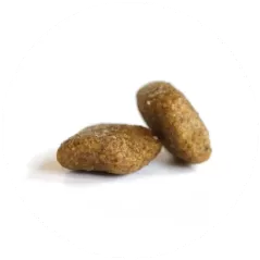 Large Adult Sterilized Chicken - Croquettes pour chats de grande taille stérilisés 400gr - C PRO FOOD - 5,29 € - C PRO FOOD - 5404009521255 - Ornibird SRL