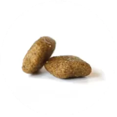 Large Adult Chicken - Nourriture Complète Pour Chats Adultes De Grande Taille 1,5KG - C PRO FOOD - 18,25 € - C PRO FOOD - 5404009521187 - Ornibird SRL
