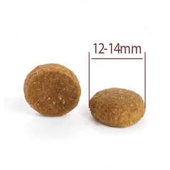 Puppy All Breeds à l'agneau et riz - Large - Croquettes pour chiots 10kg  - C PRO FOOD - 58,99 € - C PRO FOOD - 5404009520432 - Ornibird SRL
