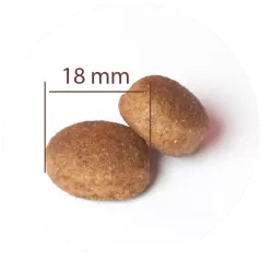 Large Adult All Breeds au poulet et riz - Croquettes pour les chiens Adulte 10kg - C PRO FOOD - 51,50 € - C PRO FOOD - 5404009521132 - Ornibird SRL