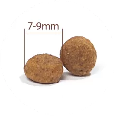 Prestige All Breeds à la dinde - Grain Free - Croquettes pour chiens 10kg - C PRO FOOD - 61,75 € - C PRO FOOD - 5404009520517 - Ornibird SRL