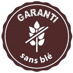 Prestige All Breeds à la dinde - Grain Free - Croquettes pour chiens 10kg - C PRO FOOD - 61,75 € - C PRO FOOD - 5404009520517 - Ornibird SRL