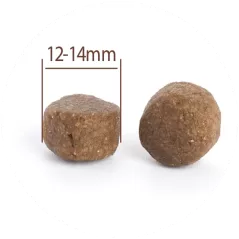 Medium Prestige All Breeds à la dinde - Grain Free - Croquettes pour chiens - 10kg  - C PRO FOOD - 61,75 € - C PRO FOOD - 5404009540553 - Ornibird SRL