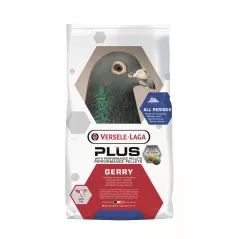 Bagues élastiques E-Z par 50 pièces - Taille: 9 mm - Couleur: Violet - 6,50 € - Rings 4 Wings - 1540554702504 - Ornibird SRL