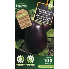 Aubergine Ronde Black Beauty - Cat. B - Protecta - 3,65 € -  - 5425005398009 - Ornibird SRL