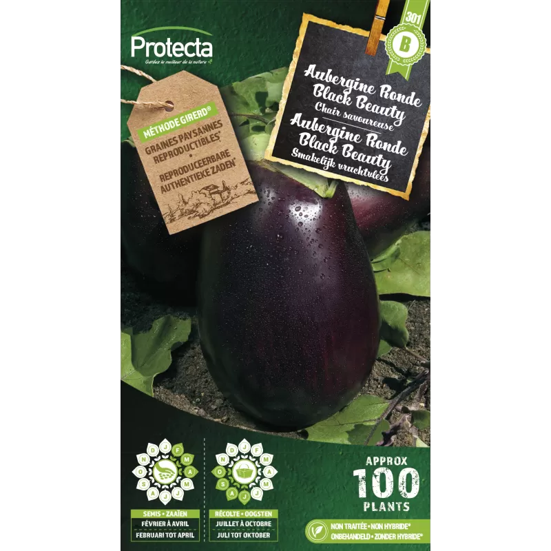 Aubergine Ronde Black Beauty - Cat. B - Protecta Aubergine Ronde Black Beauty - Cat. B - Protecta