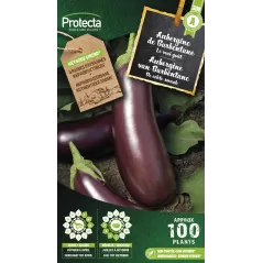 Aubergine Violette de Barbentane - Cat. A - Protecta à 2,40 € -  - SE-POT-00063 - Accueil