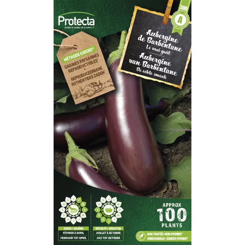 Aubergine Violette de Barbentane - Cat. A - Protecta Aubergine Violette de Barbentane - Cat. A - Protecta