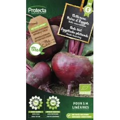 Betterave Noire d'Egypte FR-BIO-15 - Cat. B - Protecta à 3,65 € -  - SE-POT-00183 - Accueil