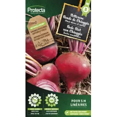 Betterave ronde de Chioggia - Cat.B - Protecta à 2,40 € -  - SE-POT-00139 - Plantes, Buis & Légumes
