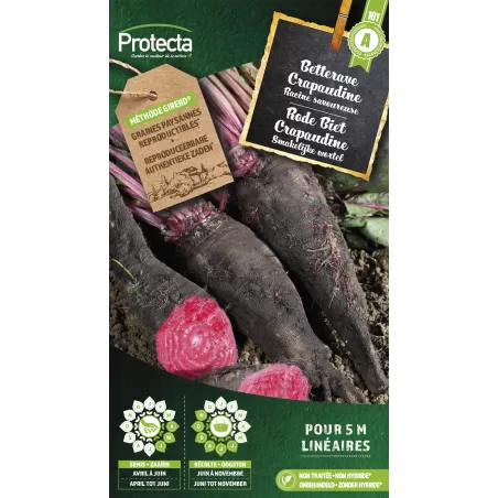 Betterave Crapaudine - Cat. A - Protecta à 2,40 € -  - SE-POT-00001 - Plantes, Buis & Légumes