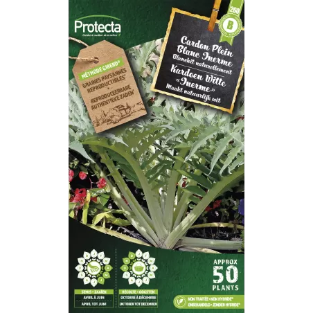 Cardon Plein Blanc Inerme - Cat. B - Protecta à 3,65 € -  - SE-POT-00062 - Plantes, Buis & Légumes