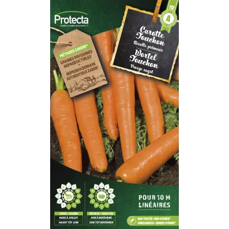 Carotte Touchon - Cat. A - Protecta à 2,40 € -  - SE-POT-00005 - Plantes, Buis & Légumes