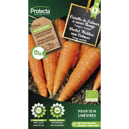 Carotte Flakkée de Colmar FR-BIO-15 - Cat. B - Protecta à 3,65 € -  - SE-POT-00184 - Accueil
