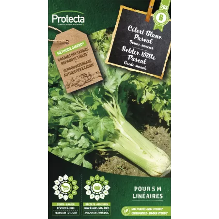 Céleri Branche plein blanc Pascal - Cat. B - Protecta à 3,65 € -  - SE-POT-00031 - Accueil