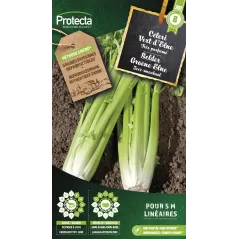 Céleri Branche d'Elne - Cat. B - Protecta à 3,65 € -  - SE-POT-00030 - Plantes, Buis & Légumes