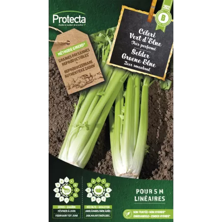 Céleri Branche d'Elne - Cat. B - Protecta à 3,65 € -  - SE-POT-00030 - Plantes, Buis & Légumes
