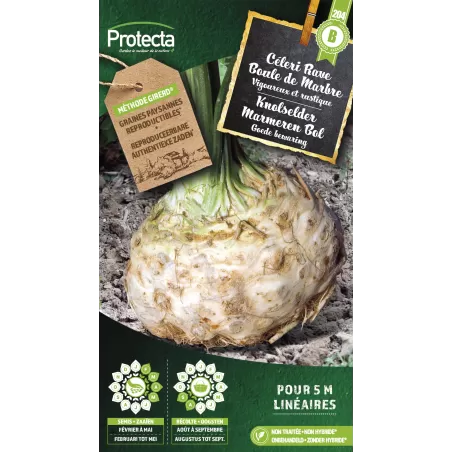 Céleri rave Boule de Marbre - Cat. B - Protecta à 3,65 € -  - SE-POT-00032 - Plantes, Buis & Légumes